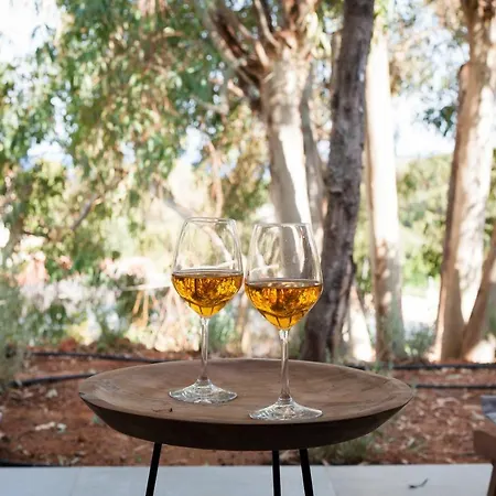 Ktima Fabiatos Lägenhet