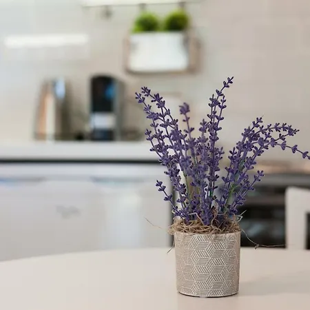 Ktima Fabiatos Apartmán