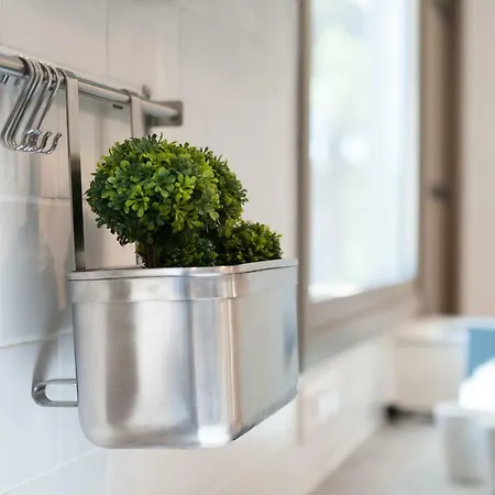 Ktima Fabiatos Skala (Kefalonia)